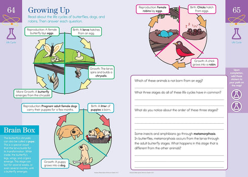 SUMMER BRAIN QUEST: BETWEEN GRADES 2 & 3 - WORKMAN PUBLISHING